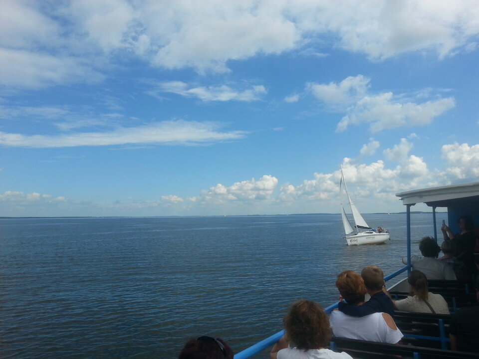 20160823_123633.jpg - VegaVivo