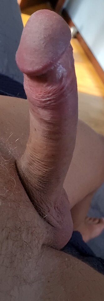 20240623_075320.jpg - Berektors