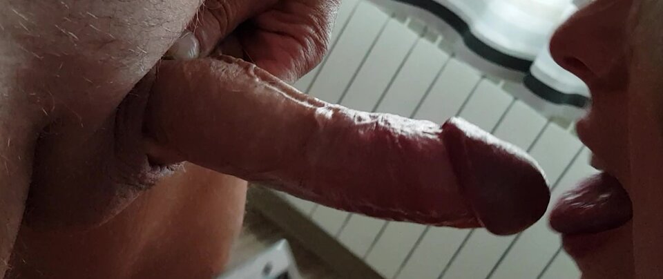 vol4.jpg - Berektors