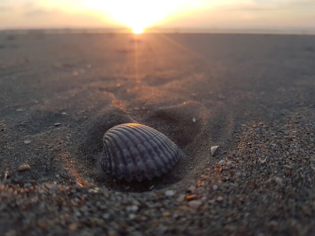 Rozpustny_przyjaciel