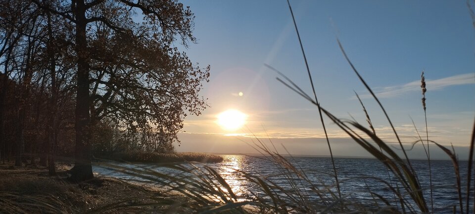 IMG_20231126_145623.jpg - torii99