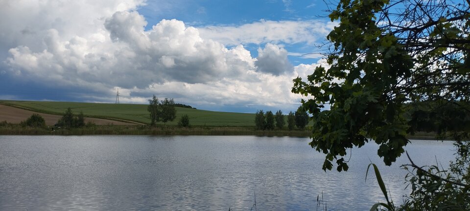 IMG_20240519_144412.jpg - torii99