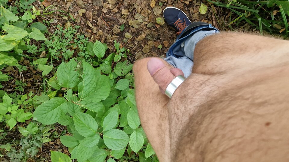 20231003_155652.jpg - naturystek