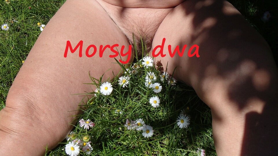 Ładne kwiatki. C - Morsy_dwa