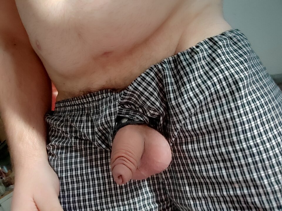 1000008657.jpg - Shrek821