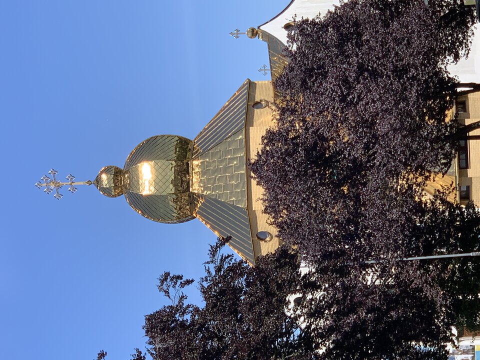 IMG_2225.jpeg - Nikaion