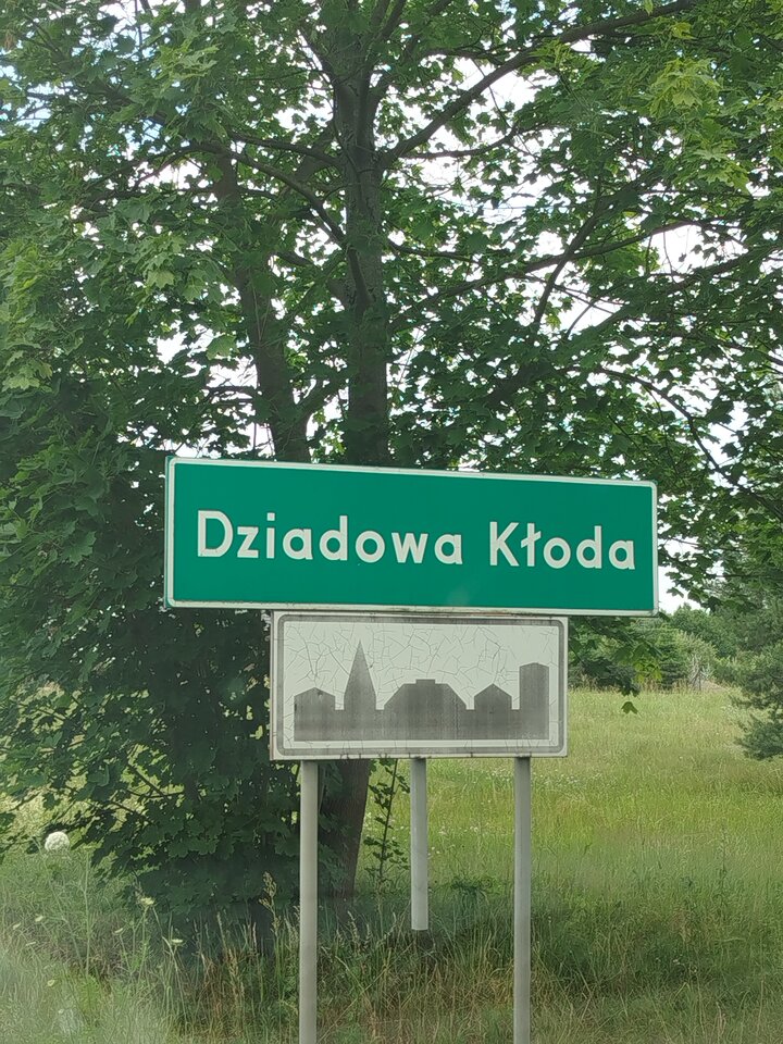 DziadowaKłoda jpg - piikantny