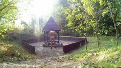 Wieszowa zrodełko (3).jpg