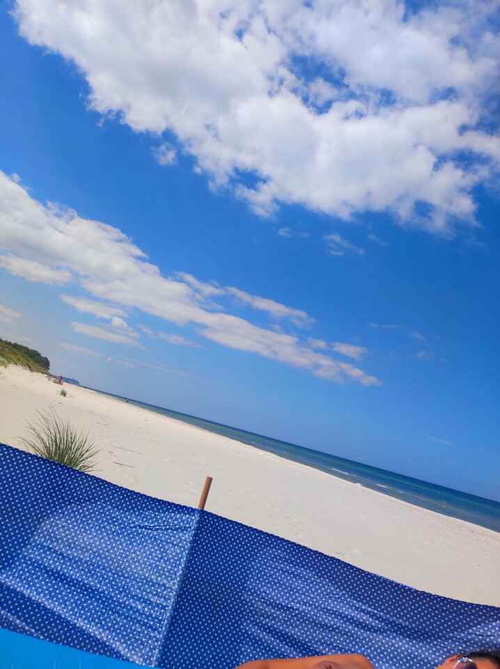 IMG_20240625_123601.jpg - Mature44youngbull