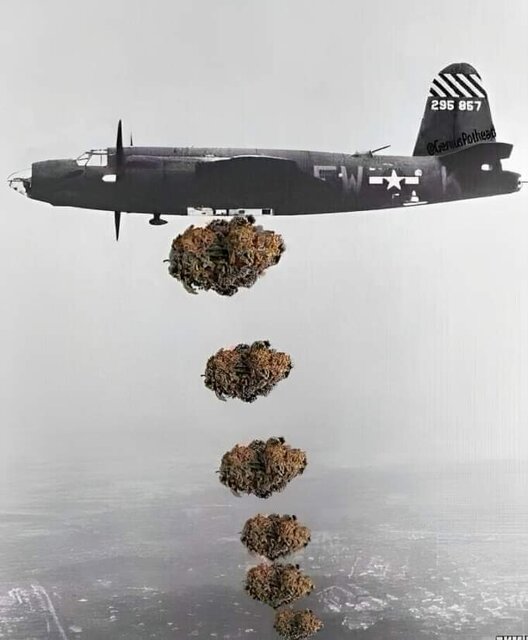 1000004724.jpg - BoRaT_41