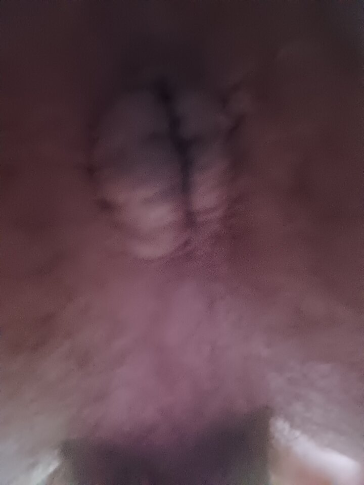 IMG_20240625_185020.jpg - Ciekawydoznan19