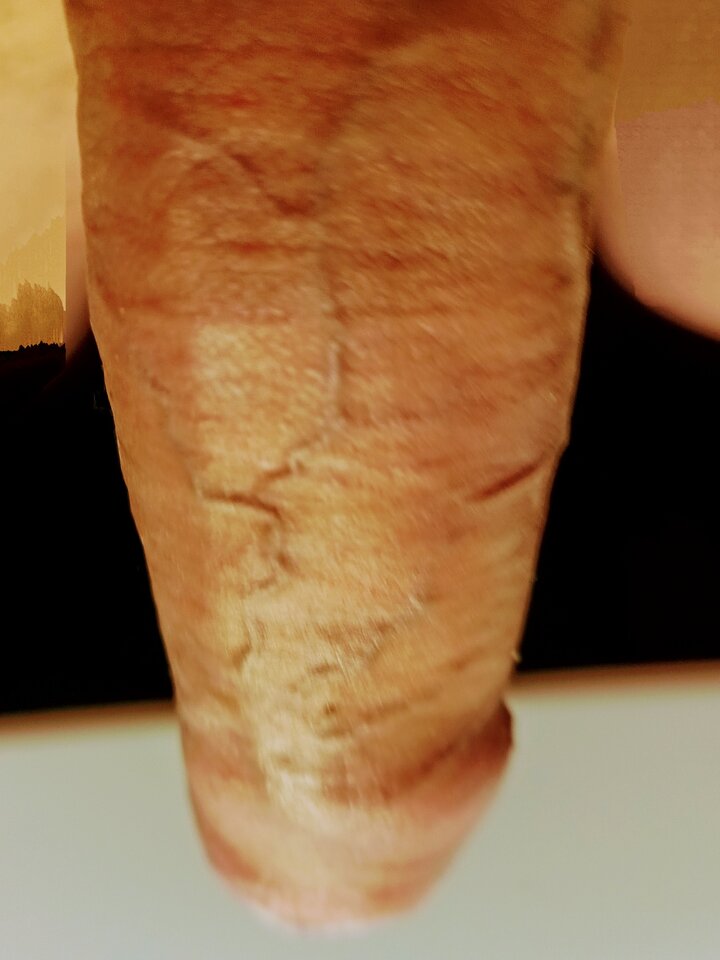 IMG_20240623_205140_358~2.jpg - SponsorzyKalisz