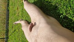 20240626_105246.jpg