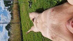 20240626_105302.jpg