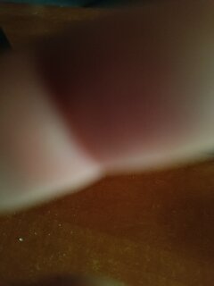 IMG_20240625_160542.jpg