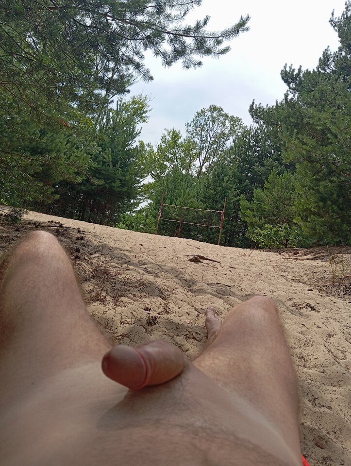 IMG_20240626_142535.jpg - przeznaczenie79