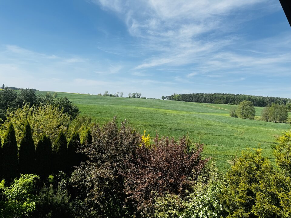 ☀️🥃🍹 - parkaparagd