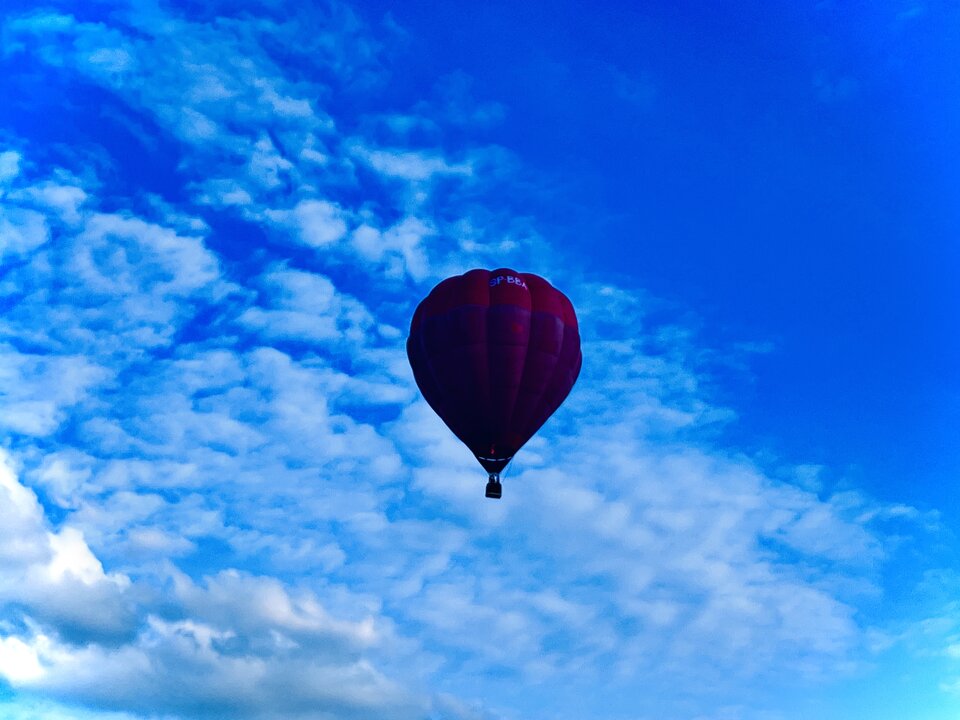 IMG_5533.jpeg - SirWolf