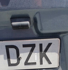 Dzik jest i w 🇪🇸