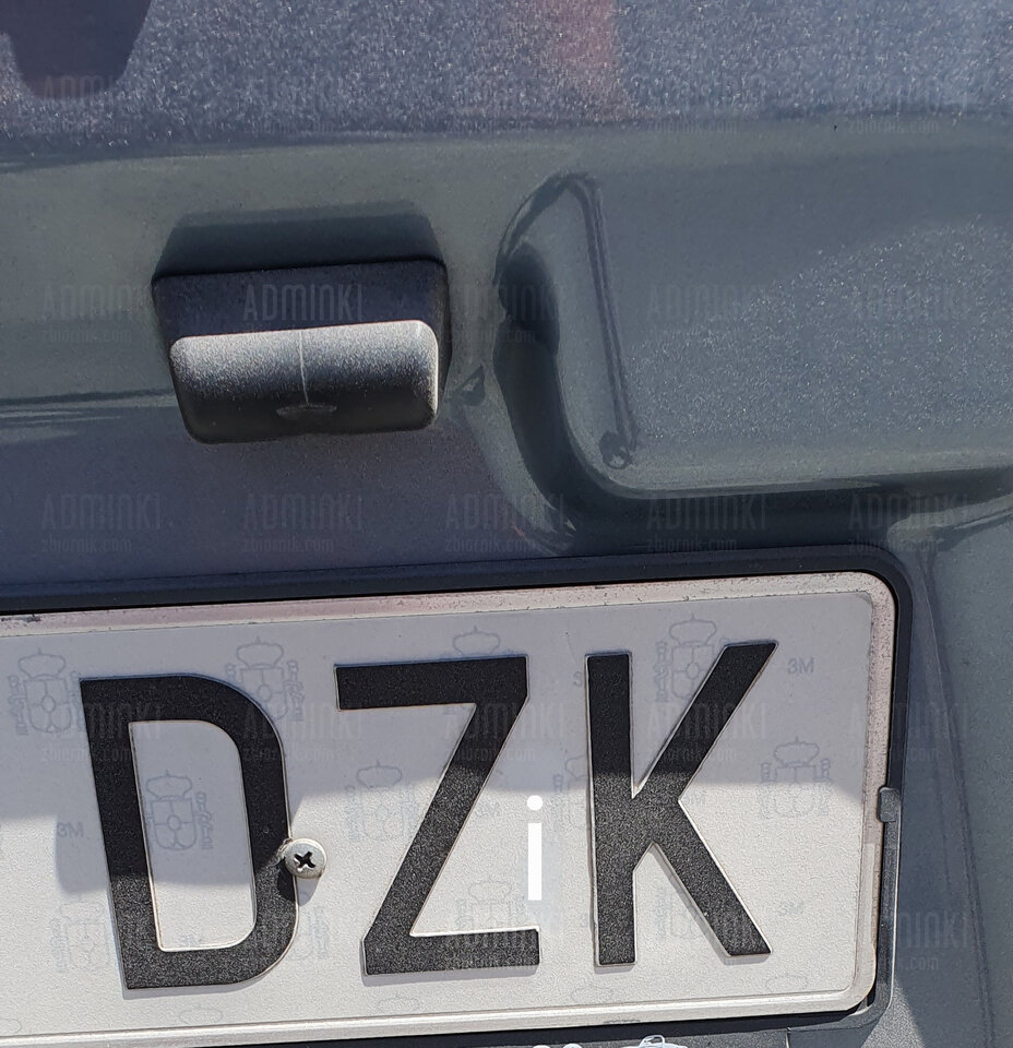 Dzik jest i w 🇪🇸 - Adminki