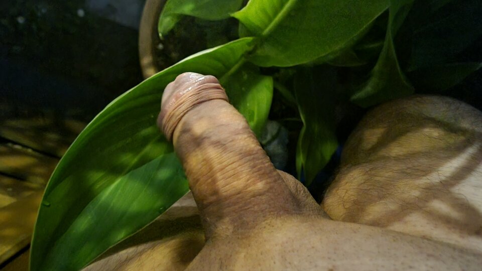 20240626_223616.jpg - elkalkd