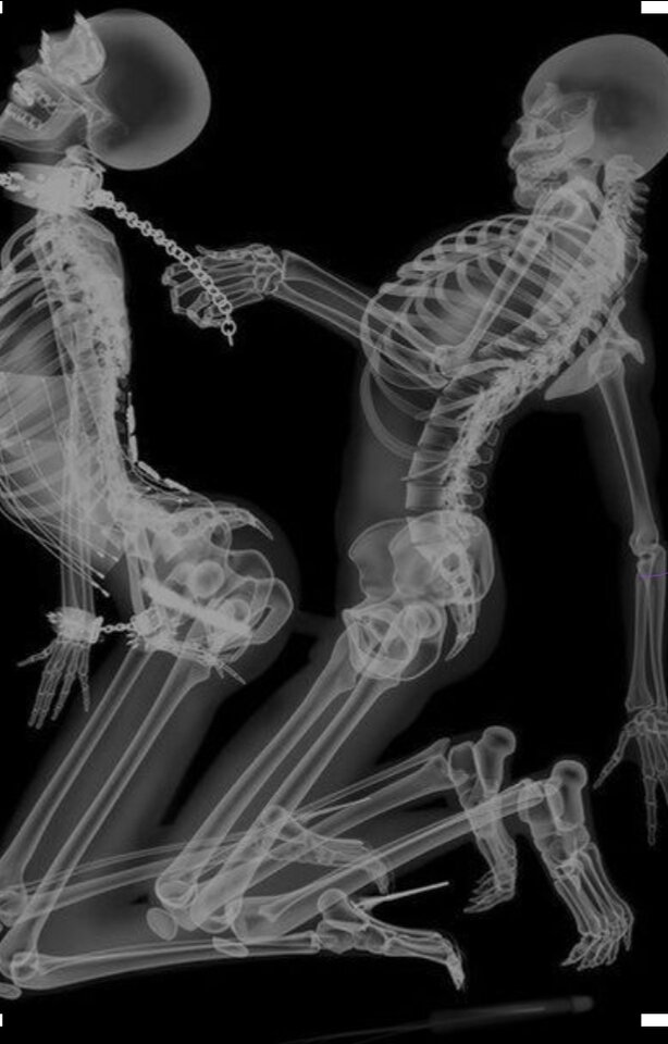 Screenshot_20240627_121242_Chrome.jpg - TypGFE