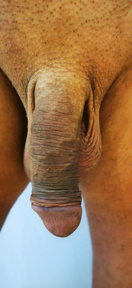 IMG_20240627_142242.jpg - Pan679