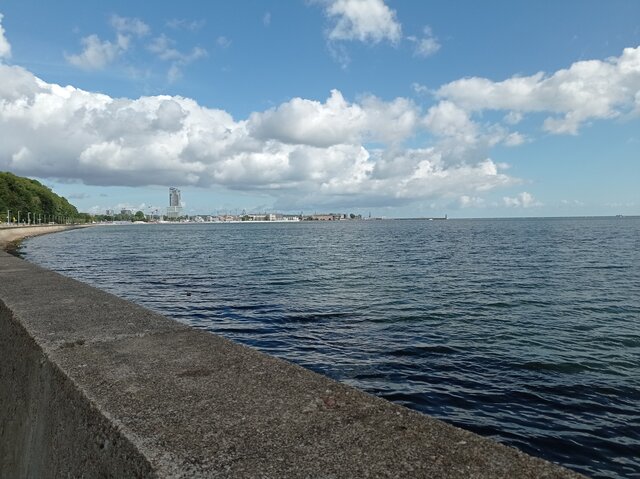 puszysta_pani_krakow