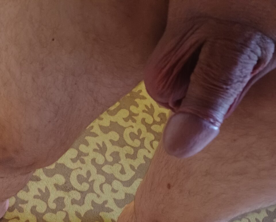 20240627_194321.jpg - Sied17