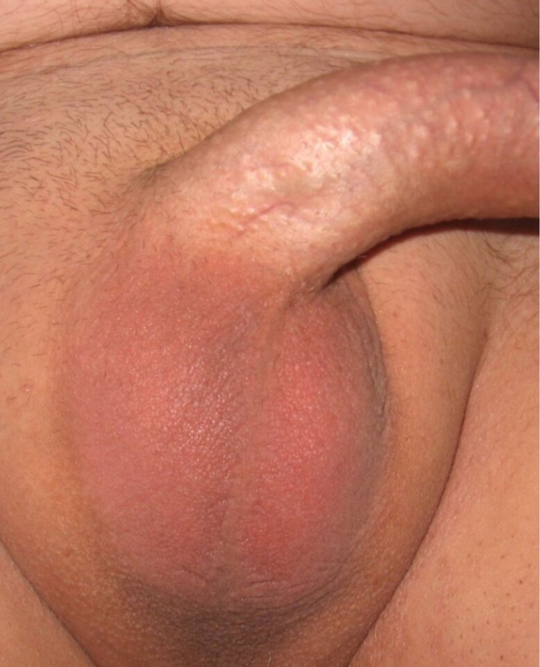 Screenshot_20210730_120204.jpg - milylizaczek