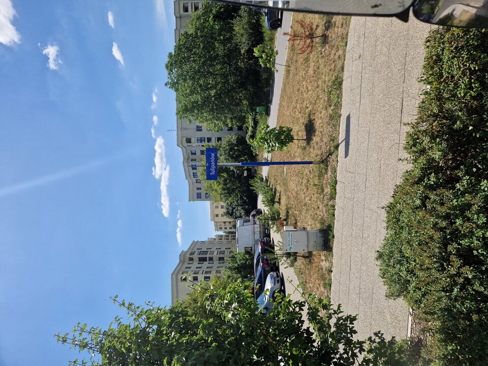 1000004590.jpg - _Tulipan_