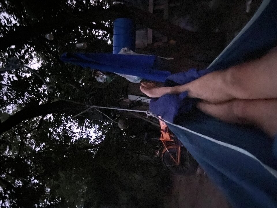 609558F2-62F6-46D9-9D78-D49F286A9BB5.jpeg - zwierzedozabawy