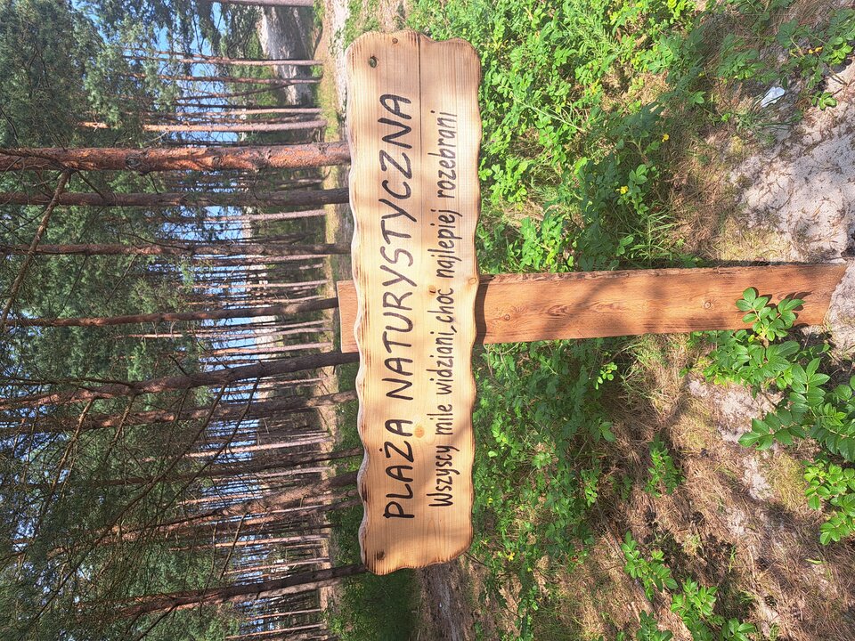 1000014645.jpg - DzidziaOn