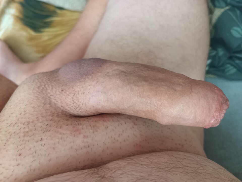 attach.jpeg - ipkins