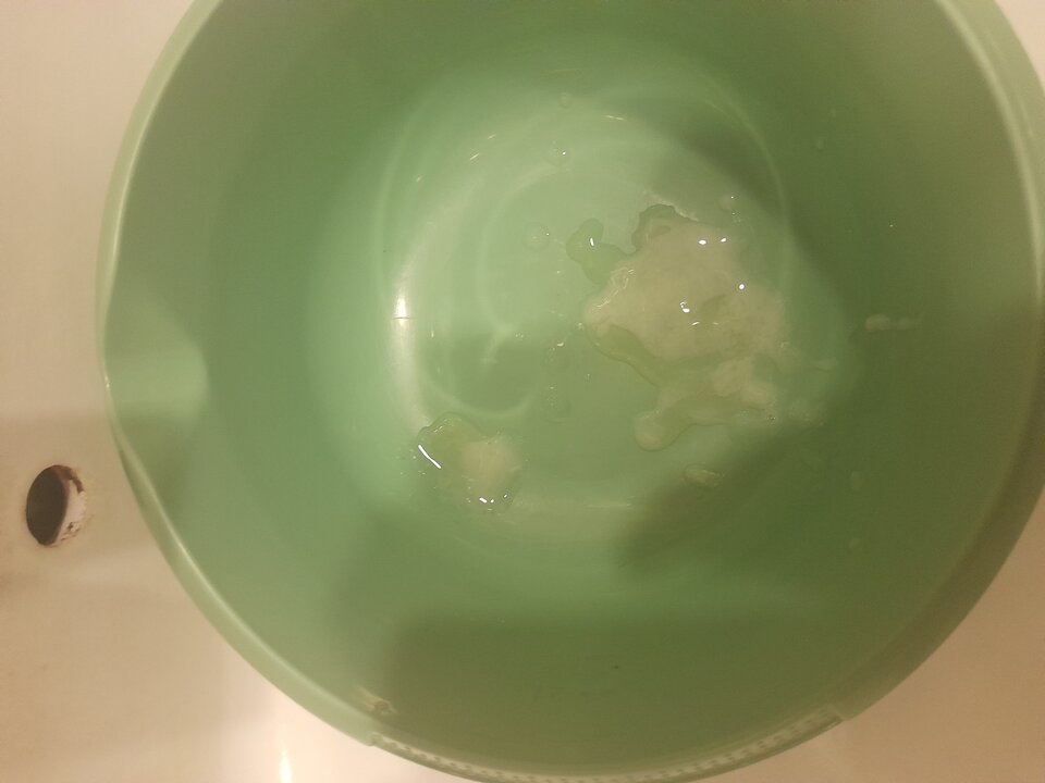 20240608_114954.jpg - 2igodles15cm