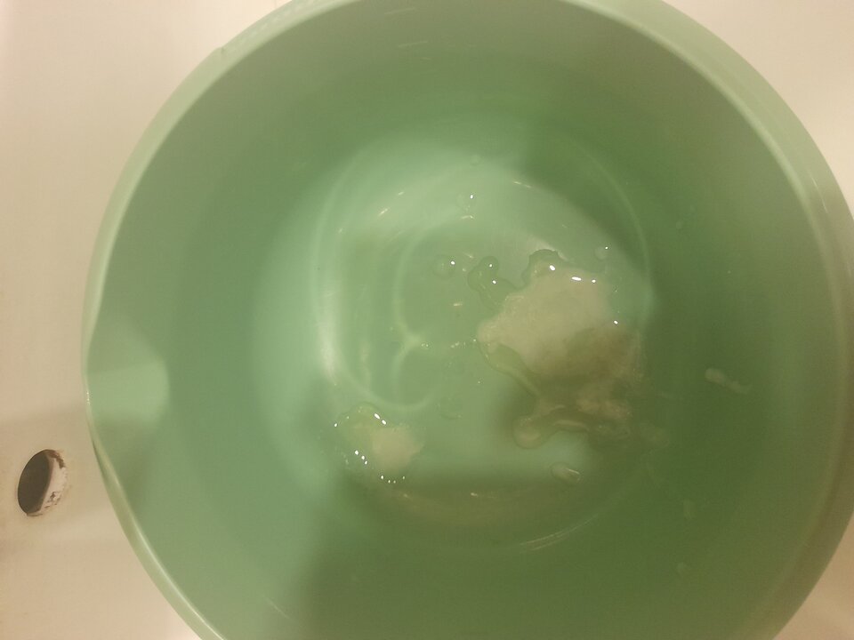 20240608_114957.jpg - 2igodles15cm