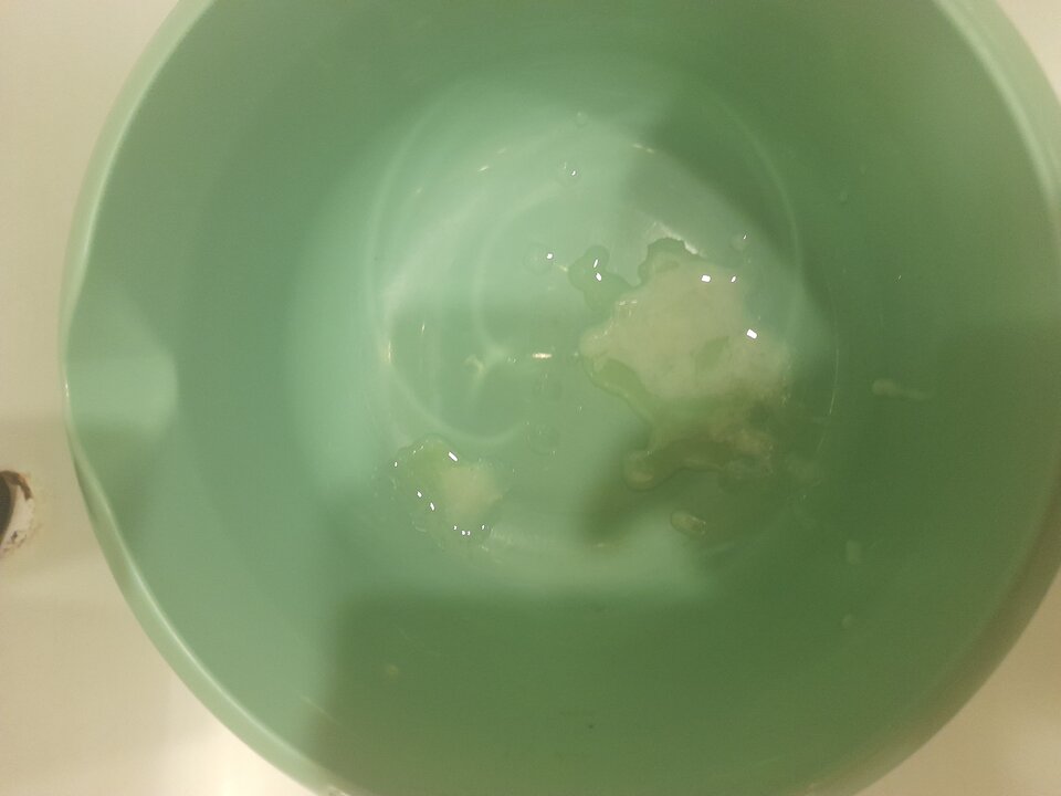 20240608_114949.jpg - 2igodles15cm