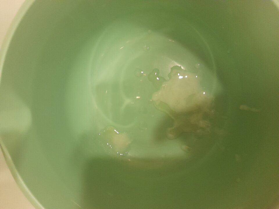 20240608_114952.jpg - 2igodles15cm