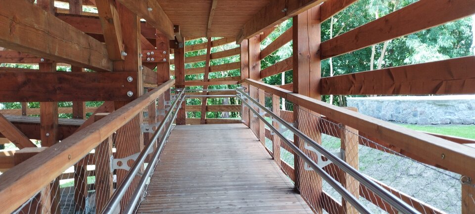 IMG_20240626_115950.jpg - torii99