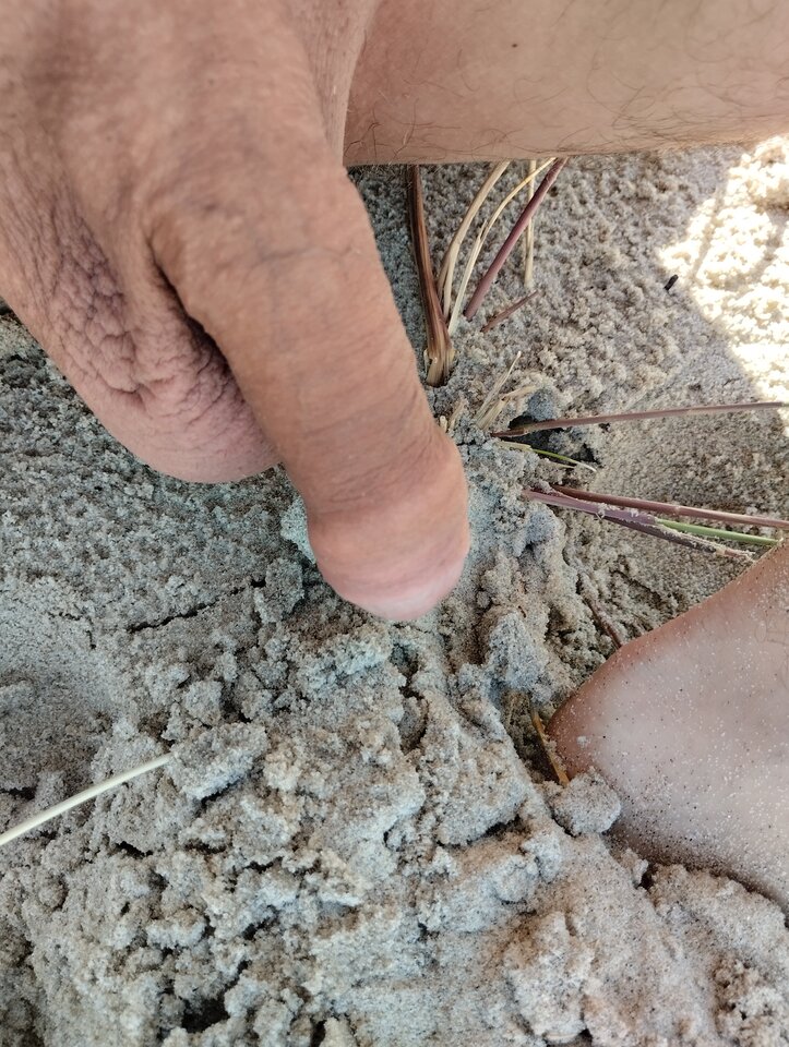 IMG_20240629_092319.jpg - para4136