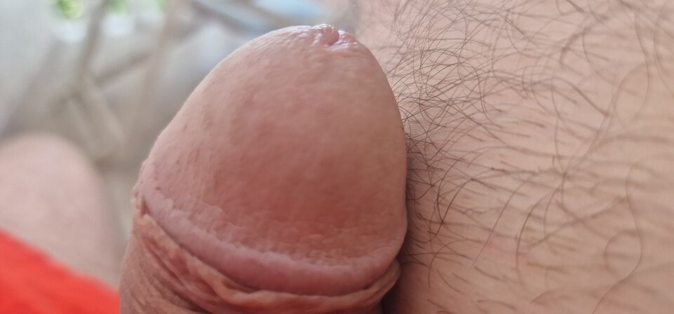 17196478563275877648163586704246.jpg - robin266