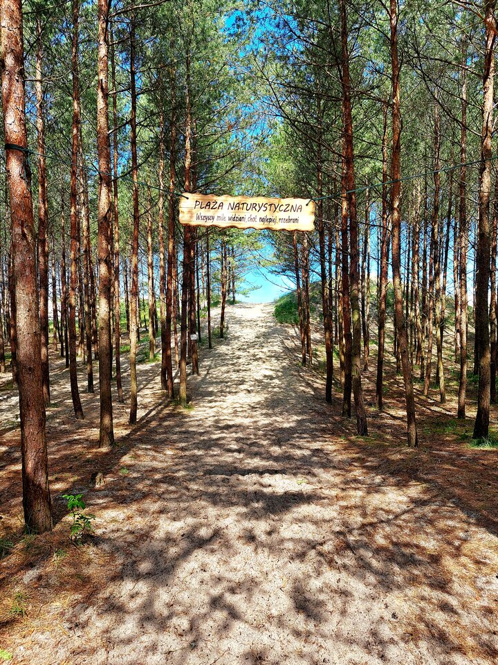 1000014656.jpg - DzidziaOn