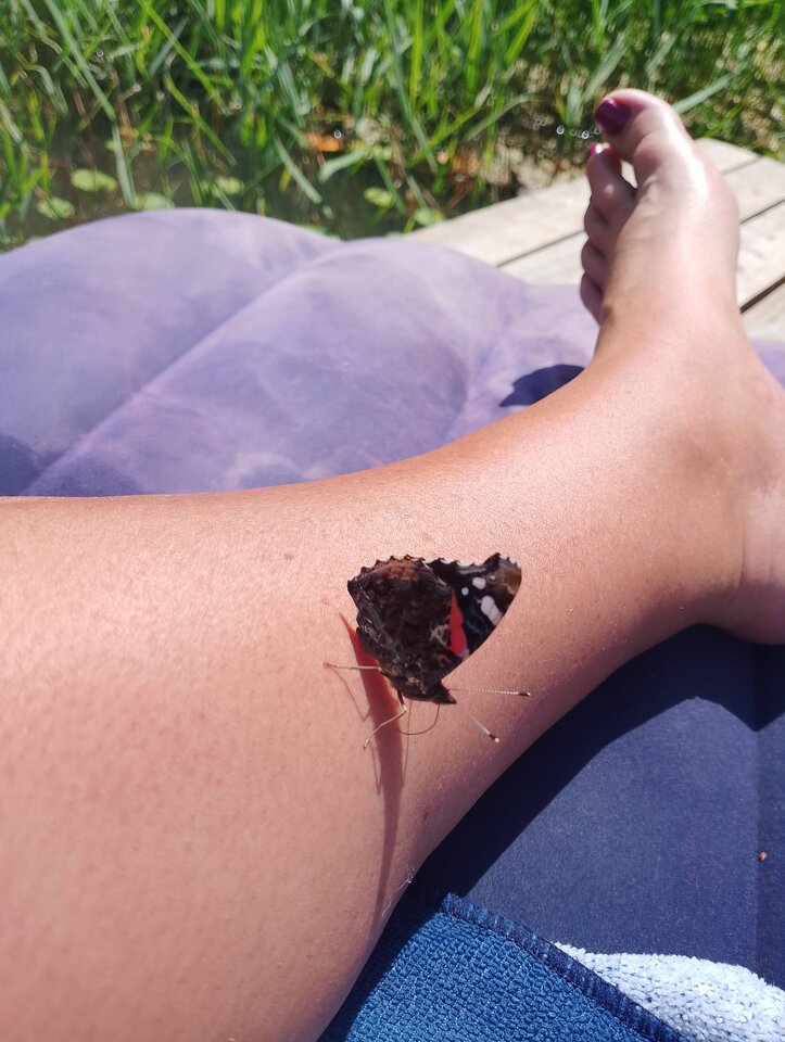 IMG_20240627_125100.jpg - nocna_para