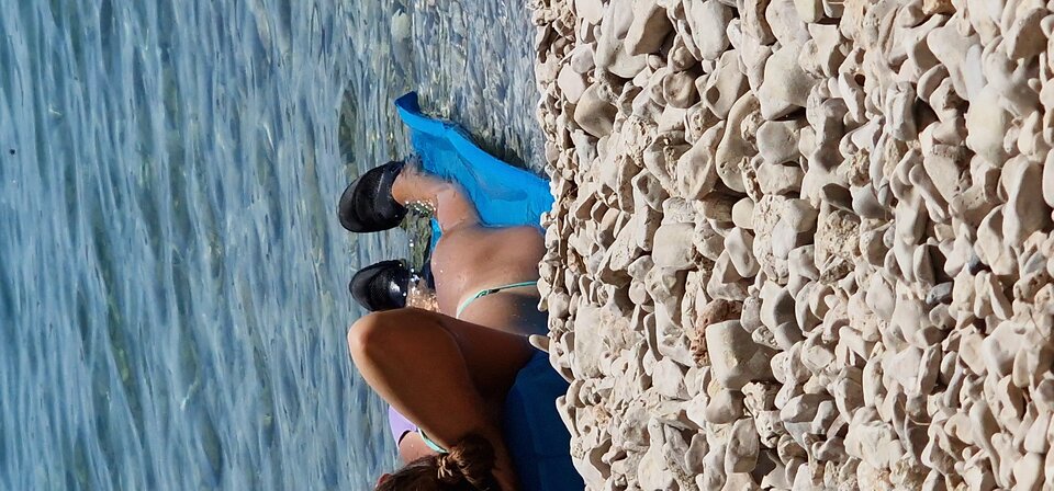 17196604234718356670783640067593.jpg - robin266