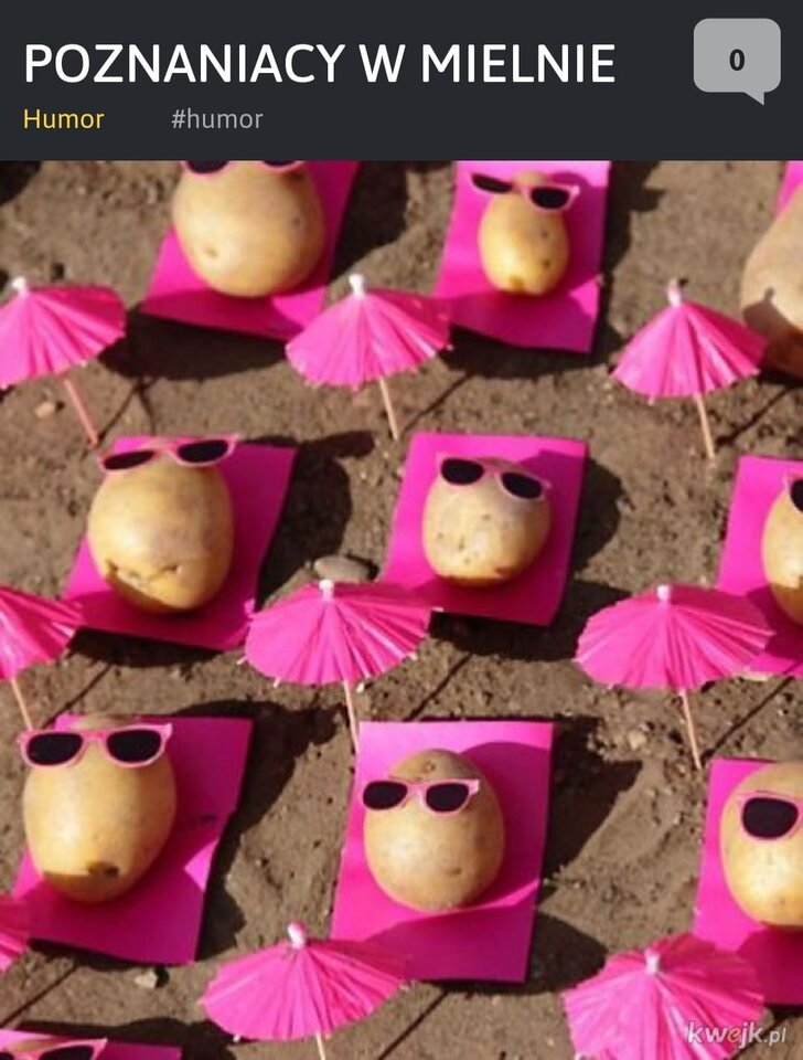 IMG-20240629-WA0005.jpg - wswoimczasie