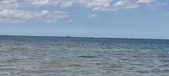 IMG_20240629_114809.jpg