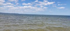 IMG_20240629_115936.jpg