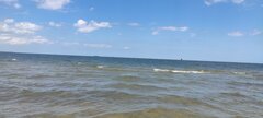 IMG_20240629_131538.jpg