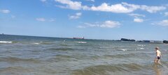 IMG_20240629_131535.jpg