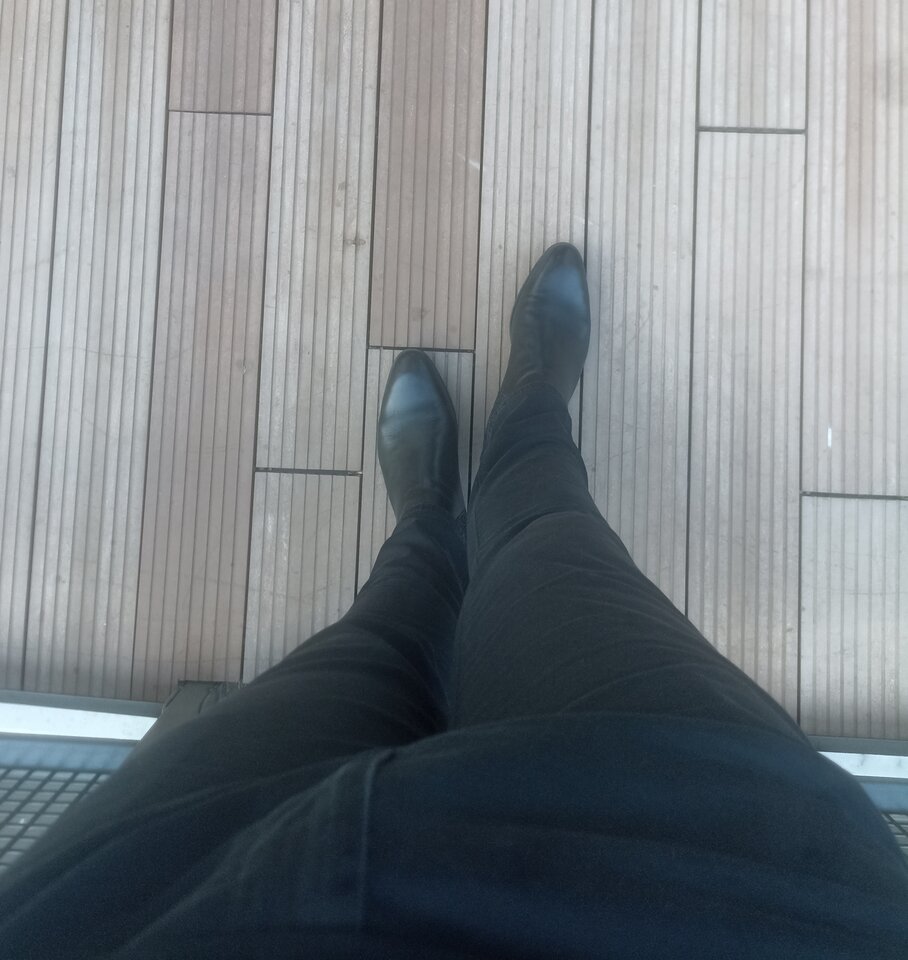 IMG_20240629_202318.jpg - WysokiBrunetWaw